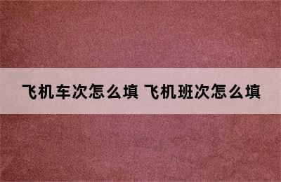飞机车次怎么填 飞机班次怎么填